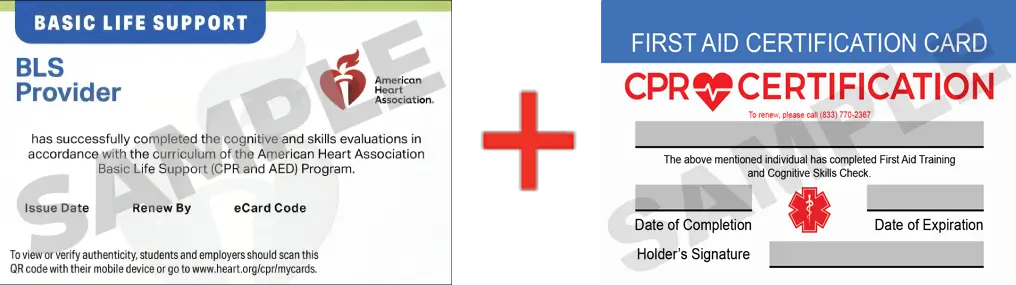 Sample American Heart Association AHA BLS CPR Card Certification and First Aid Certification Card from CPR Certification Philadelphia