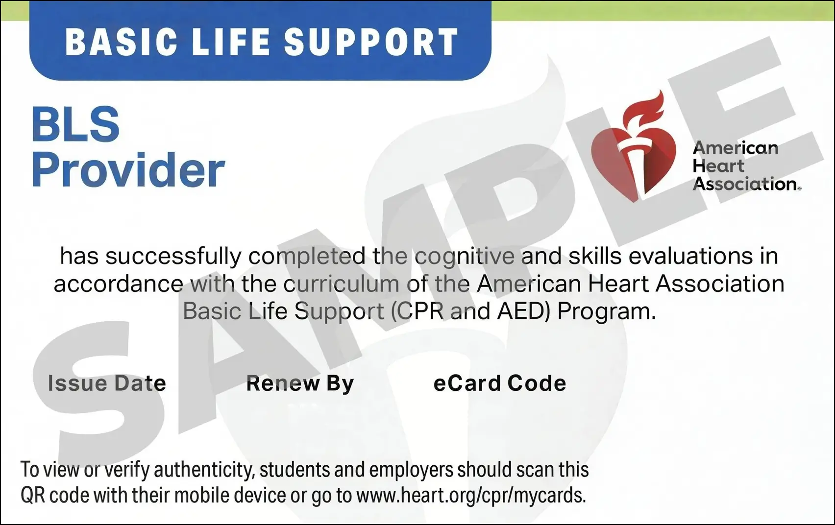 Sample American Heart Association AHA BLS CPR Card Certification from CPR Certification Philadelphia